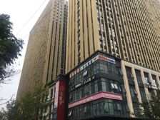 金科星耀天都1室1厅东南