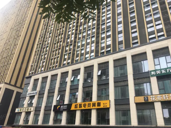 金科星耀天都公寓实景图