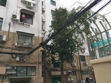 万东小区2室1厅南