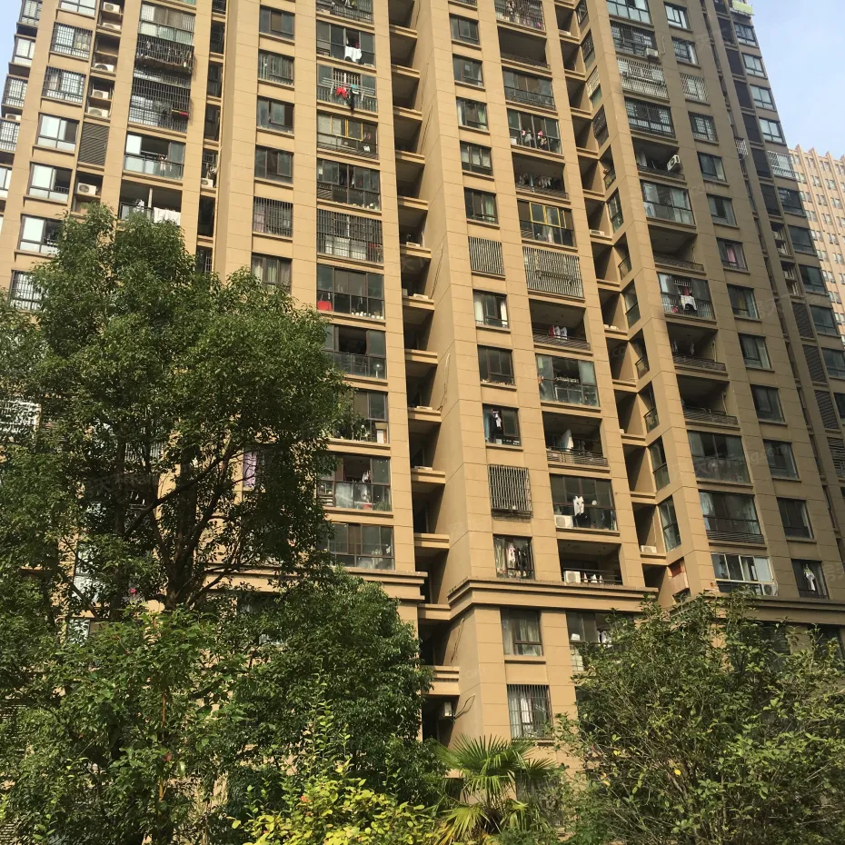 【合肥丰大国际小区,二手房,租房】- 合肥房天下