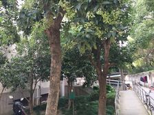 江湾·胜利小区(虹口)·2室·1厅