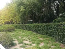 桃浦·槎浦新家园·2室·1厅