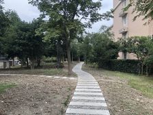 9号新城地铁站+150平三房+满五