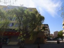 民五红光 2室1厅 南 北