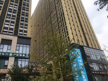 金科星耀天都1室1厅西南