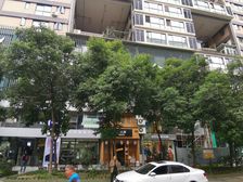 曼哈顿自然派1室1厅南