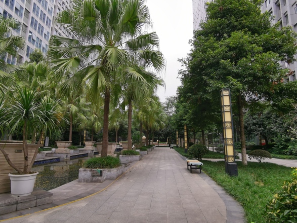 商鼎国际实景图