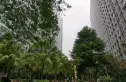 商鼎国际实景图