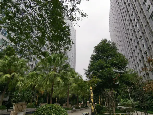商鼎国际实景图