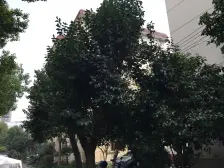 江湾·胜利小区(虹口)·2室·2厅