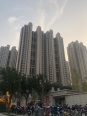 竣工楼栋实景