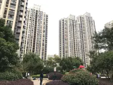 一楼带院 4房加地下室 有老人或者爱宠选择