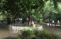 兴元华盛一期实景图
