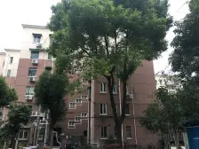 长风·怒江路600弄·1室·1厅