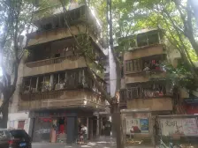 花园街加装电梯房,多6个方的入户花园