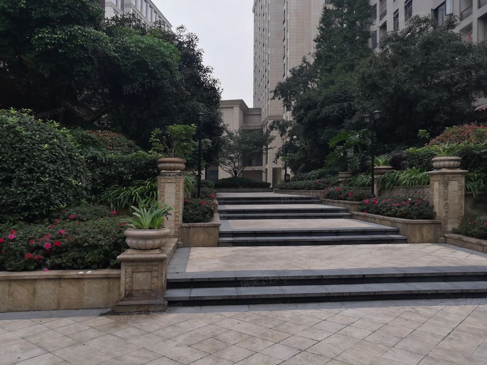 小区相关图