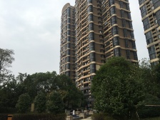 恒茂瑞都新苑 南北通透,采光好 装修好,环镜优美 中间楼层