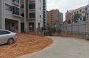 海棠一品实景图