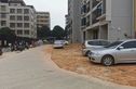 海棠一品实景图