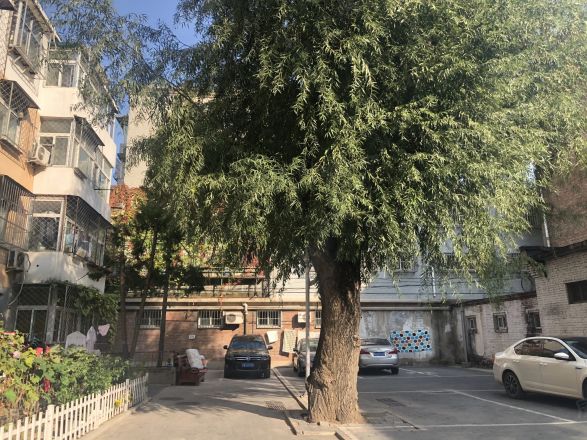 昌平区医院宿舍实景图