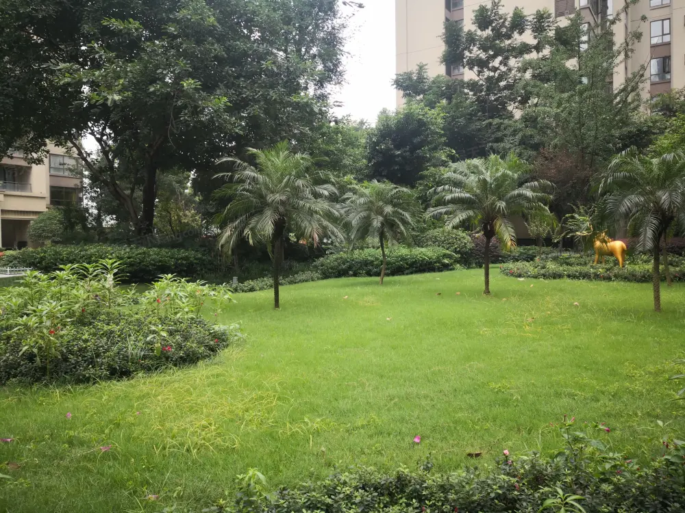 小区相关图