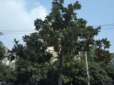 朝南边户 视野开阔 光照无遮挡 精装修带租约