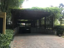 恒茂瑞都新苑 南北通透,采光好 视野好,诚心出售