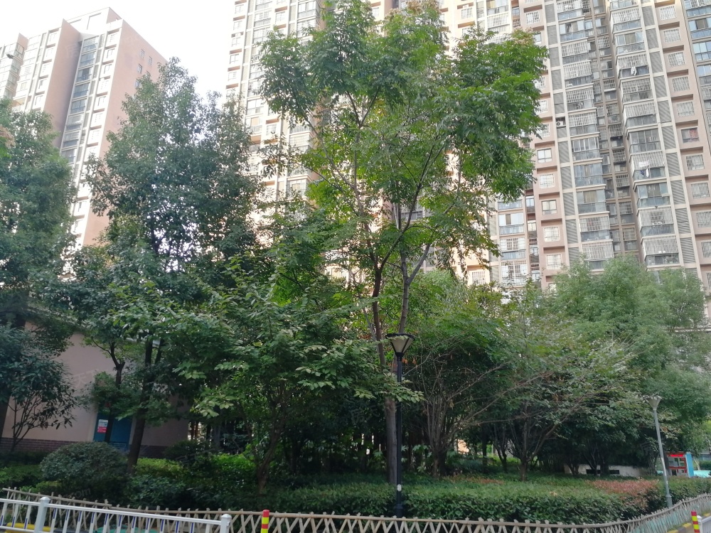 小区相关图
