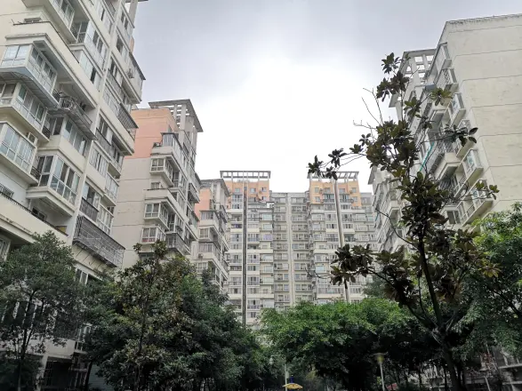 龙锦雅苑实景图