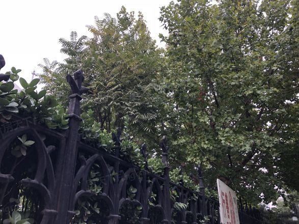 知春路59号院实景图