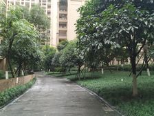 南湖国际社区一期 2室2厅 东 西