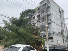 矿机社区2室1厅南北