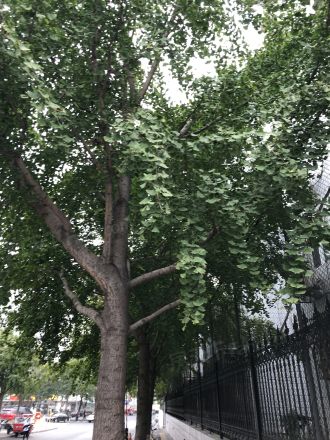 知春路59号院实景图