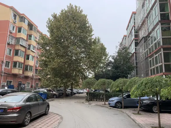 九洲兴达家园实景图