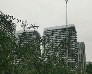 中粮天府宸悦 1室1厅 南