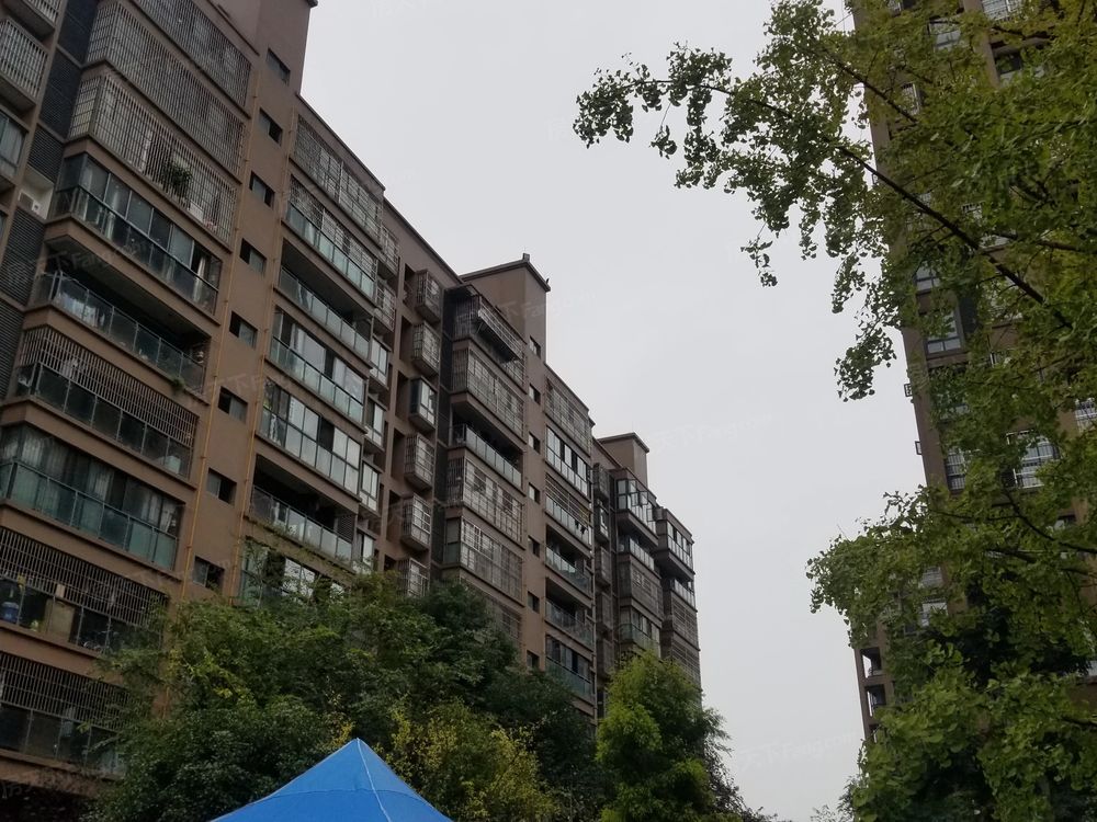 小区相关图