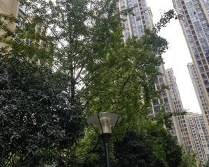 保利春天花语2室1厅东