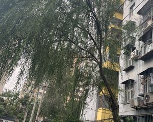 法华寺小区1室1厅南