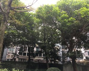 三和南庭3室1厅南