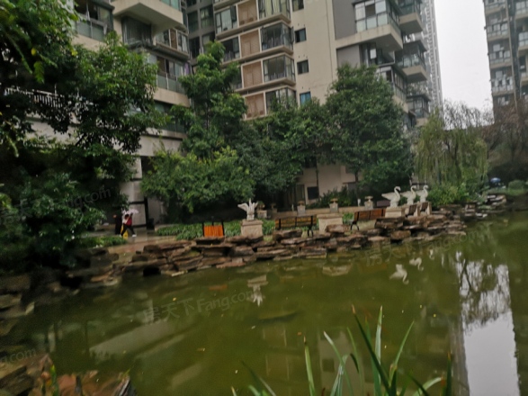 宝泰家园实景图