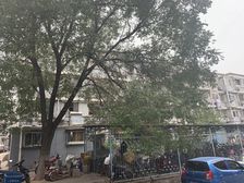 矿机社区3室1厅南北