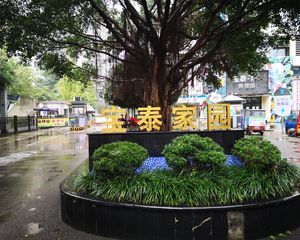 宝泰家园3室1厅东北