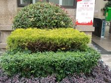 保利春天花语 3室1厅 东 西