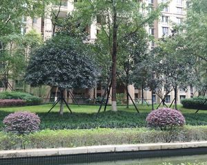 南湖国际社区一期3室2厅北