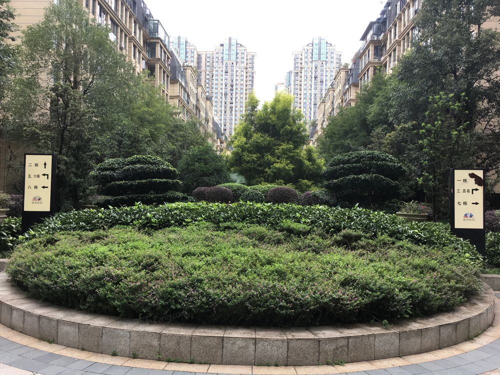 小区相关图