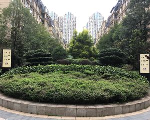 琥珀庭院3室1厅东北