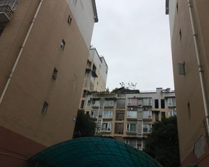 枫桥映月4室2厅西