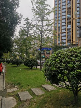 建发中央鹭洲实景图