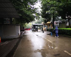 龙锦雅苑 1室1厅 东南 南