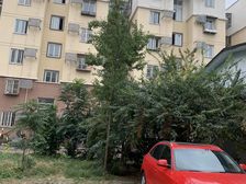 槠榆树家园2室1厅西东